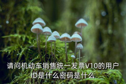 發(fā)票登錄密碼是什么，國(guó)稅局發(fā)票軟件里用戶代碼和密碼是什么
