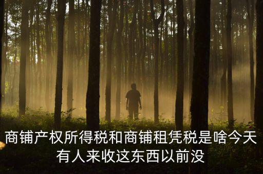 什么叫店面租憑稅，商鋪產(chǎn)權所得稅和商鋪租憑稅是啥今天有人來收這東西以前沒