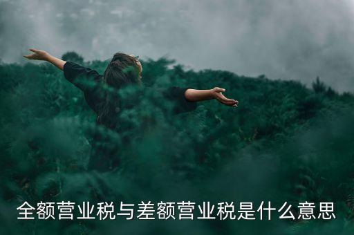 什么叫差額征稅，什么是差額稅