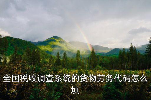商品和勞務(wù)編碼是什么，貨物勞務(wù)代碼如何填