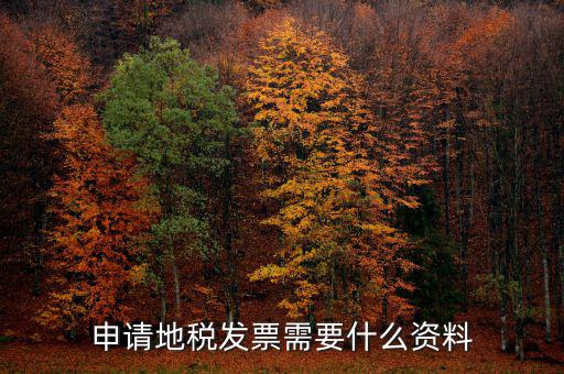 地稅局開票需要帶什么，申請地稅發(fā)票需要什么資料