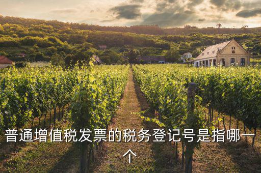 什么是增值稅登記號碼，增值稅登記號