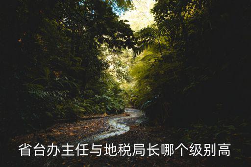 地稅局主任是什么級(jí)別，省臺(tái)辦主任與地稅局長(zhǎng)哪個(gè)級(jí)別高