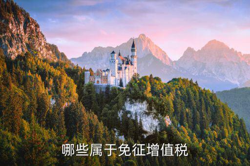 銷售什么可以免稅，哪些屬于免征增值稅