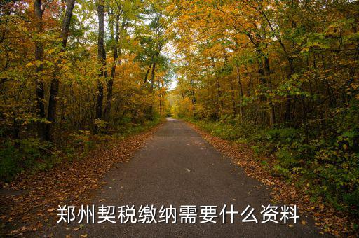 鄭州報(bào)稅用什么資料，鄭州國(guó)稅網(wǎng)上申報(bào)問(wèn)題