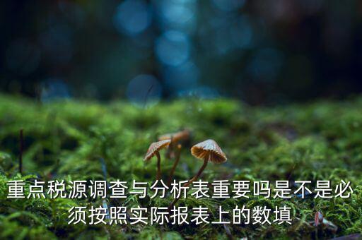 重點稅源分析分析什么，重點稅源的介紹