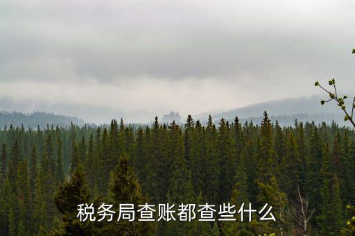 稅務(wù)局查稅一般查什么，請(qǐng)問(wèn)一下老師一般稅務(wù)局人來(lái)查帳一般查什么的