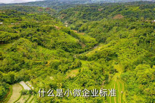 小型微利企業(yè)標(biāo)準(zhǔn)是什么，微小型企業(yè)的標(biāo)準(zhǔn)是什么