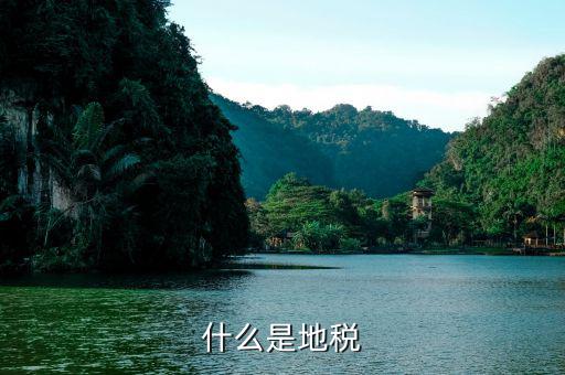 什么是地方稅費(fèi)，地稅稅費(fèi)什么意思