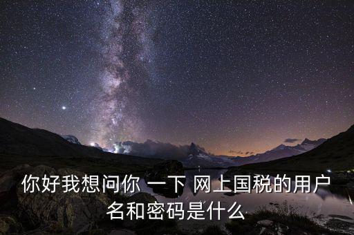 你好我想問你 一下 網上國稅的用戶名和密碼是什么