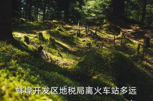 蚌埠開(kāi)發(fā)區(qū)地稅局離火車(chē)站多遠(yuǎn)