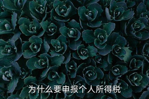 為什么要申報(bào)納稅，為什么公司老是要申報(bào)稅