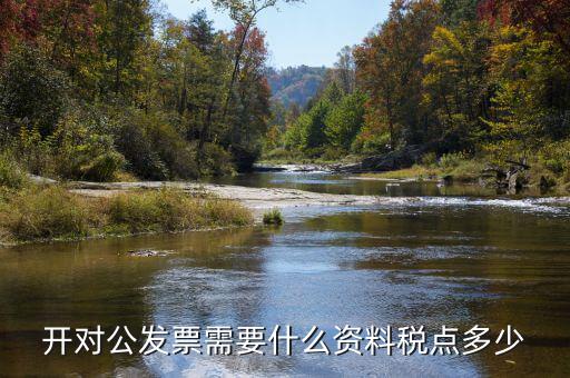 對公開票需要什么信息，公對公開發(fā)票 需要對方什么信息