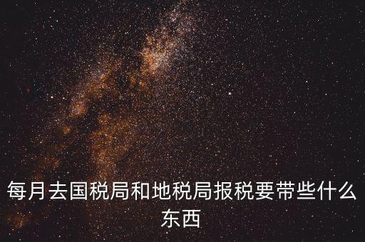 國稅大廳報稅需要什么，你好請教你一下如果我去國稅大廳報稅的話都需要帶什么東西填