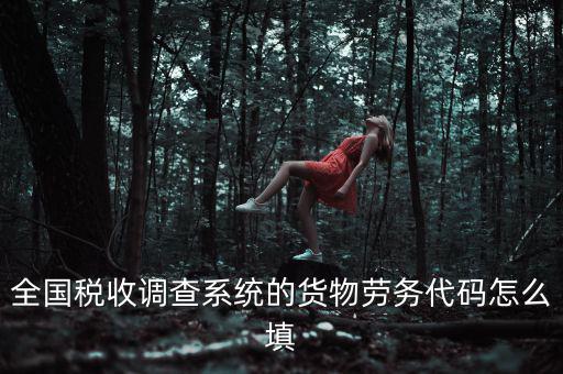全國稅收調查系統(tǒng)的貨物勞務代碼怎么填
