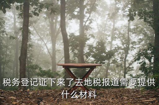 去地稅局報(bào)道需要什么手續(xù)，稅務(wù)登記證下來了去地稅報(bào)道需要提供什么材料