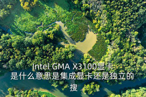 國(guó)稅集成理念是什么意思，Intel GMA X3100顯卡 是什么意思是集成顯卡還是獨(dú)立的  搜