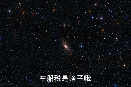 保險的車船稅是什么，車船稅是啥子哦