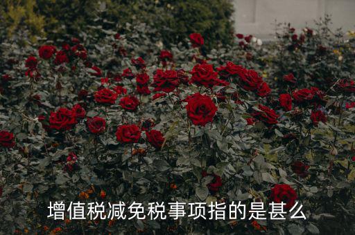 什么是減免稅申報(bào)，增值稅減免稅事項(xiàng)指的是甚么
