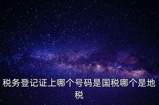 國稅地稅登記號是什么，稅務登記證上哪個號碼是國稅哪個是地稅