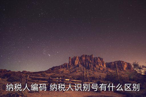 納稅人的識別號是什么意思，納稅人識別號是什么