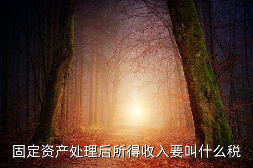 什么叫做試點(diǎn)納稅人，固定資產(chǎn)處理后所得收入要叫什么稅