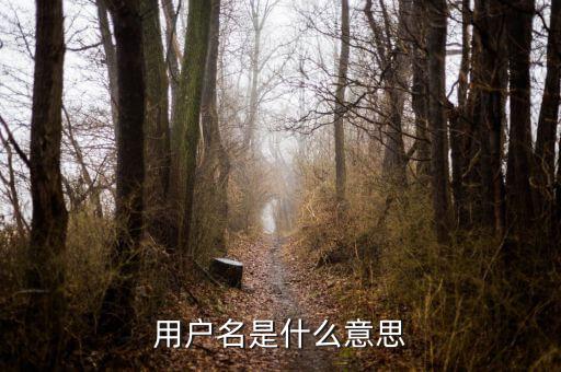 個稅用戶名是指什么意思，用戶名是什么意思