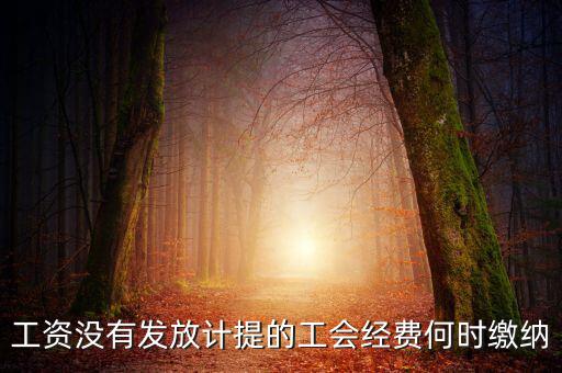 工會(huì)經(jīng)費(fèi)一般什么時(shí)候交，工資沒(méi)有發(fā)放計(jì)提的工會(huì)經(jīng)費(fèi)何時(shí)繳納