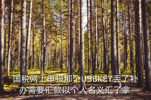 稅務(wù)ukey是什么意思，國(guó)稅網(wǎng)上申報(bào)那個(gè)USBKEY丟了補(bǔ)辦需要匯款以個(gè)人名義匯了拿