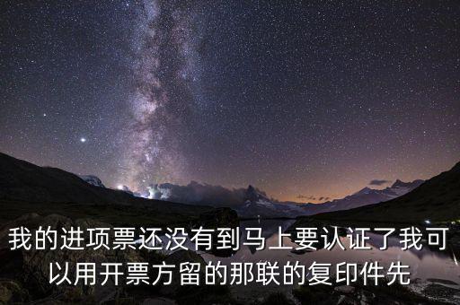 納稅清單驗(yàn)證碼是什么，我的進(jìn)項(xiàng)票還沒有到馬上要認(rèn)證了我可以用開票方留的那聯(lián)的復(fù)印件先