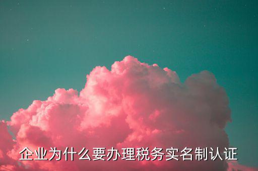 為什么辦稅實(shí)名制，國家稅務(wù)實(shí)行實(shí)名制是為了什么