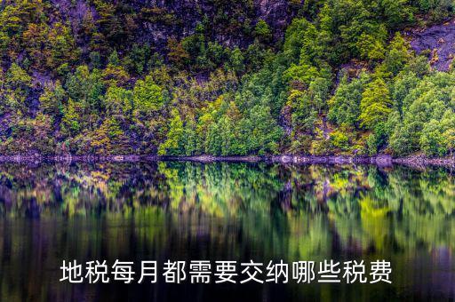 濟(jì)寧地稅收什么稅，地稅每月都需要交納哪些稅費(fèi)