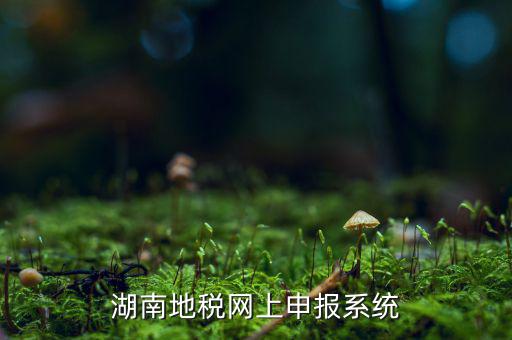 湖南省的地稅報(bào)稅軟件是什么，湖南地稅網(wǎng)上申報(bào)系統(tǒng)