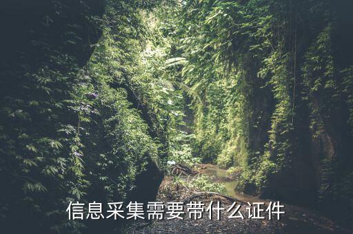 實(shí)名信息采集帶什么東西，去銀行辦理對(duì)公信息采集表需要帶哪些東西