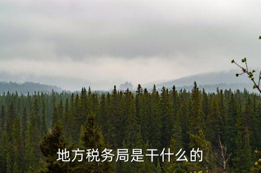 地稅局涉外稅收做什么，陜西發(fā)票涉外地稅是什么意思