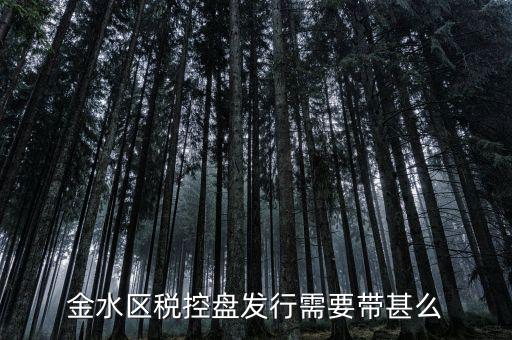稅盤發(fā)行要帶什么資料，去國(guó)稅局辦發(fā)行需要什么資料