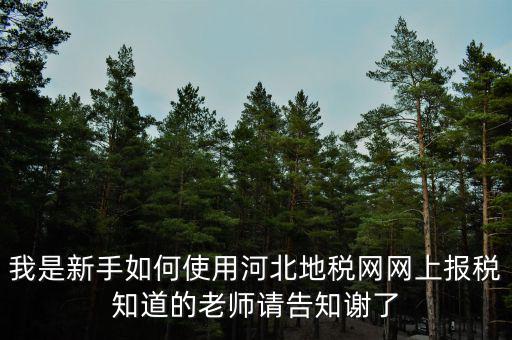 我是新手如何使用河北地稅網(wǎng)網(wǎng)上報(bào)稅知道的老師請告知謝了