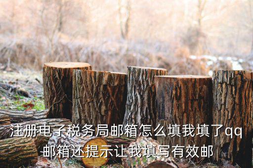 注冊電子稅務局郵箱怎么填我填了qq 郵箱還提示讓我填寫有效郵