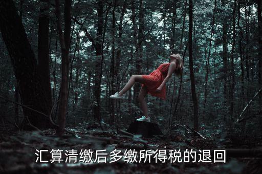 匯算清繳多繳稅款什么時(shí)候退，企業(yè)所得稅匯算清繳退款什么時(shí)候到賬