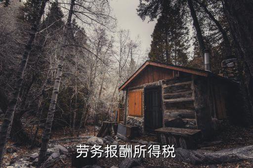 什么是勞動(dòng)報(bào)酬稅，勞務(wù)稅是什么