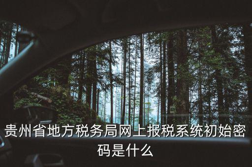 黑龍江電子稅務是什么，貴州省地方稅務局網上報稅系統(tǒng)初始密碼是什么