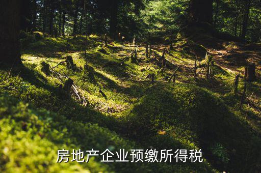 房地產(chǎn)預(yù)繳是什么意思，房?jī)r(jià)預(yù)交1萬(wàn)抵2萬(wàn)是什么意思
