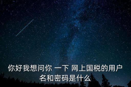 你好我想問(wèn)你 一下 網(wǎng)上國(guó)稅的用戶(hù)名和密碼是什么
