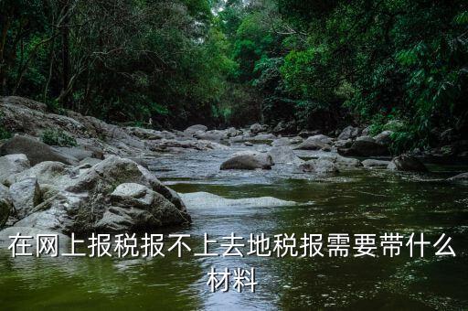 網(wǎng)上報(bào)稅反寫失敗帶什么手續(xù)，去國(guó)稅局查看反寫需要帶什么