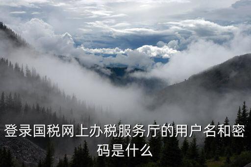 電子稅務(wù)局登陸用戶名是什么，登錄國稅網(wǎng)上辦稅服務(wù)廳的用戶名和密碼是什么