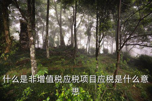 成品油應(yīng)稅和非應(yīng)稅是什么意思，什么是非增值稅應(yīng)稅項(xiàng)目應(yīng)稅是什么意思