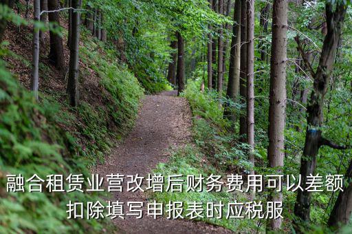 應(yīng)稅服務(wù)扣除項目清單干什么用，應(yīng)稅服務(wù)扣除項目清單中允許扣除項目金額指的是什么是總