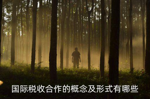 國際稅源是什么意思，國際稅收合作的概念及形式有哪些