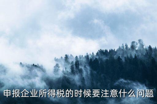 年度企業(yè)所得稅申報(bào)注意什么，申報(bào)企業(yè)所得稅的時(shí)候要注意什么問題