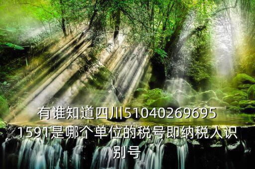四川國稅廳帳號是什么，有誰知道四川510402696951591是哪個單位的稅號即納稅人識別號